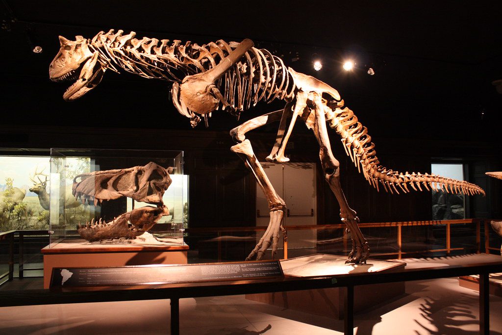 Museum Of Jurassic Technology