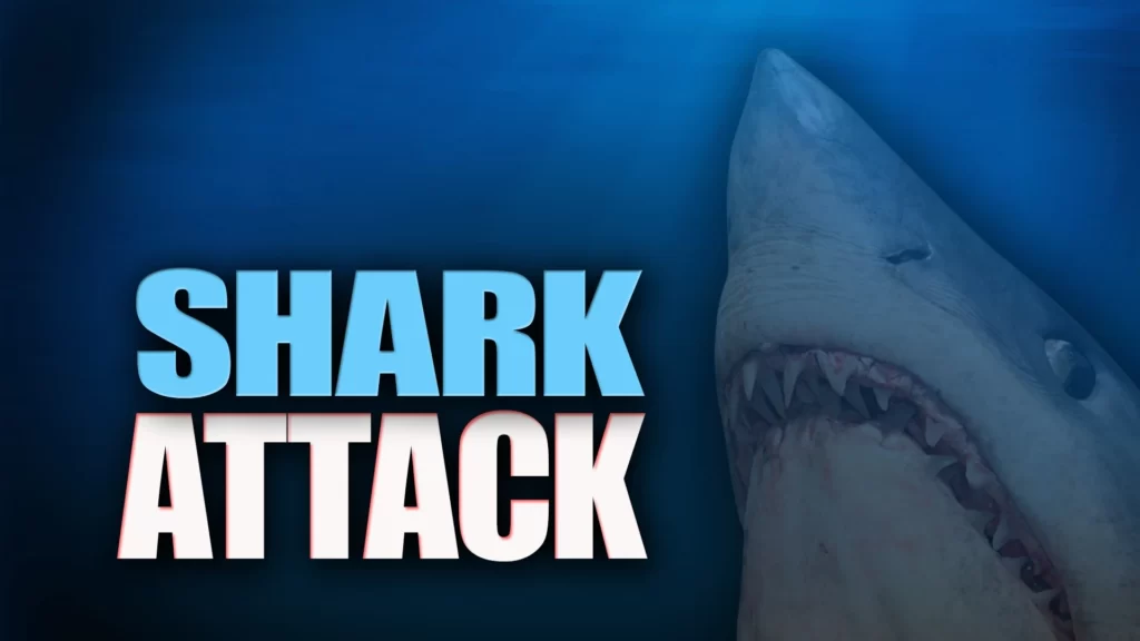 Shark Attacks In California