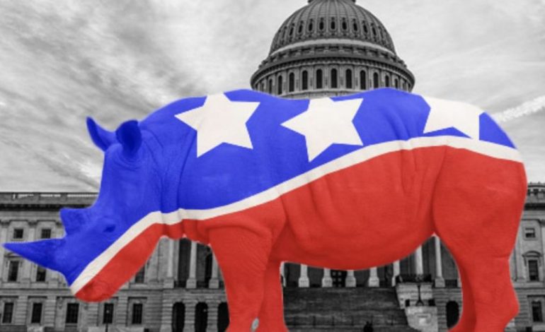 What Does Rino Mean In Politics