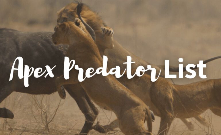 List Of Apex Predators – Meet The World’s Top Predators