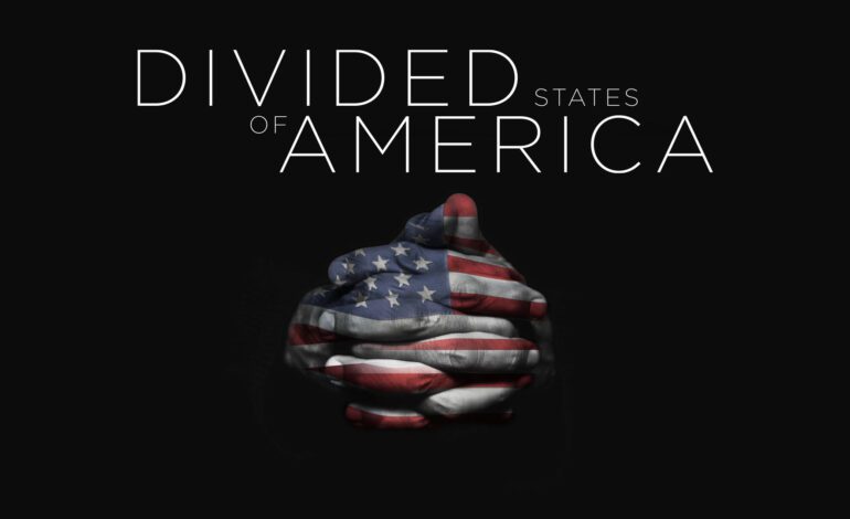 Book The Divided States Of America – What Is It About?