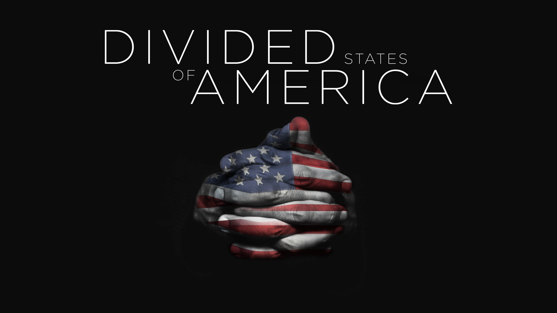 Book The Divided States Of America – What Is It About?
