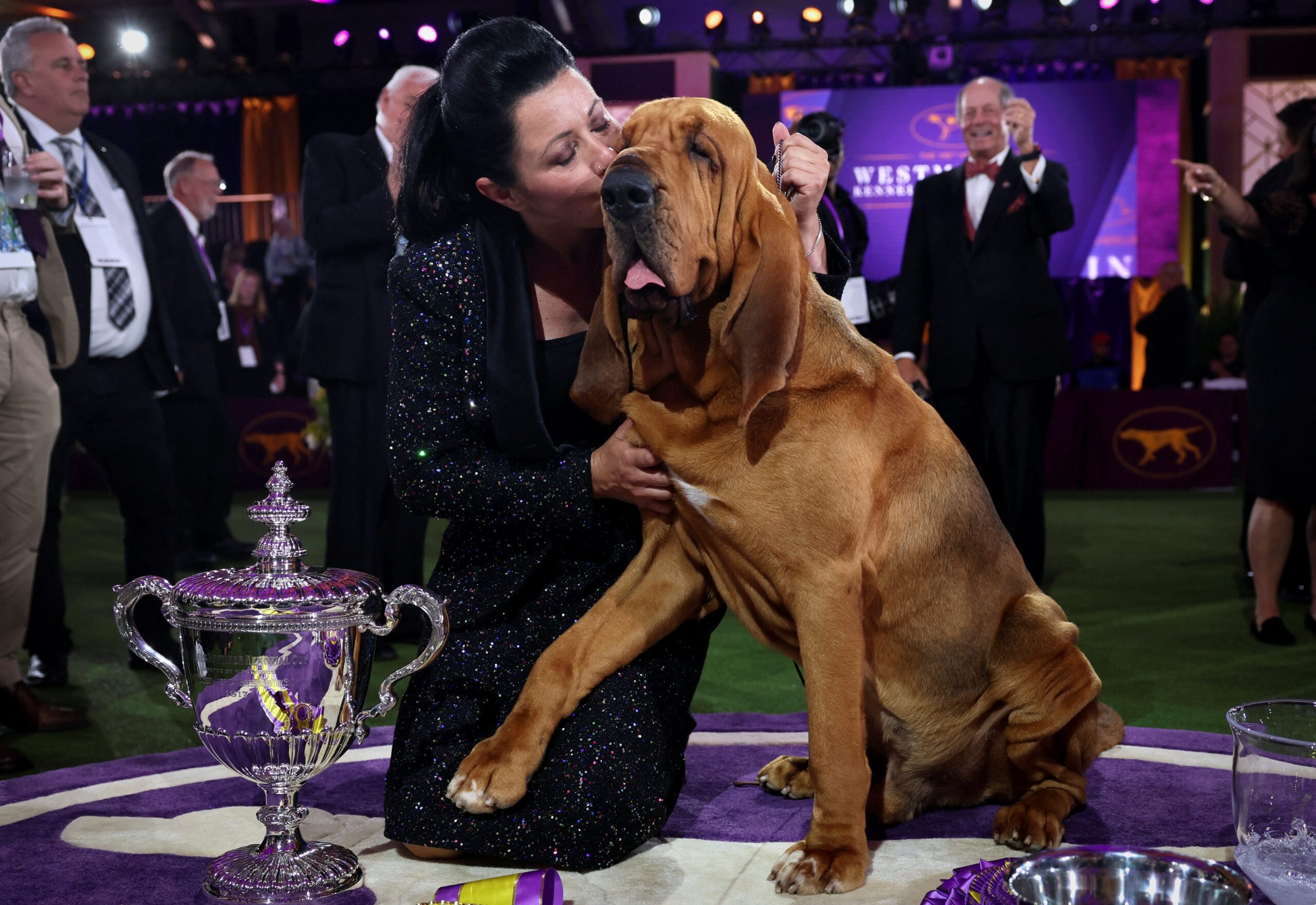 Trumpet The First-Ever Bloodhound To Win Best In Show At Westminster Dog Show 2022