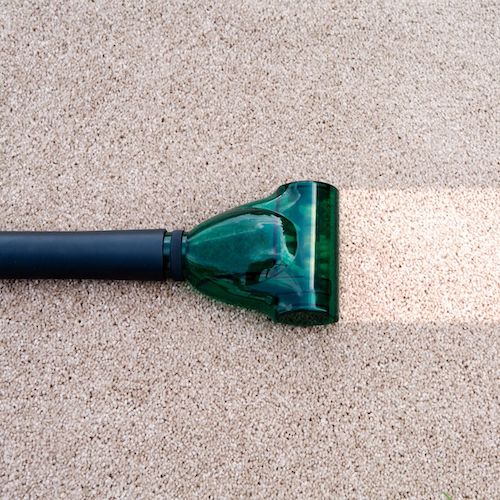What Are The Reasons To Love The Carpet Cleaning?