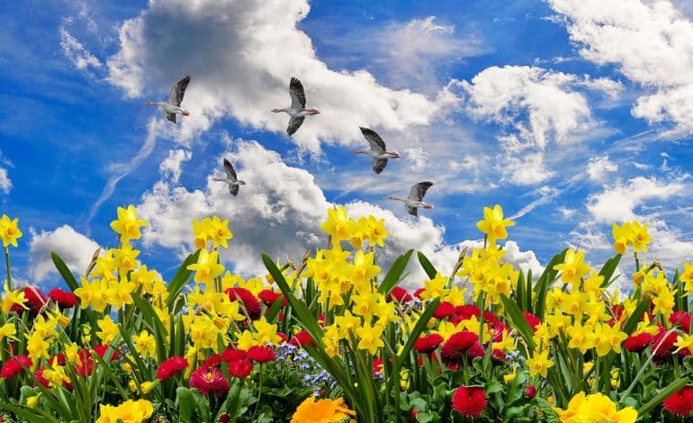 Spring Equinox: Exploring The Science And Significance Of The First Day Of Spring